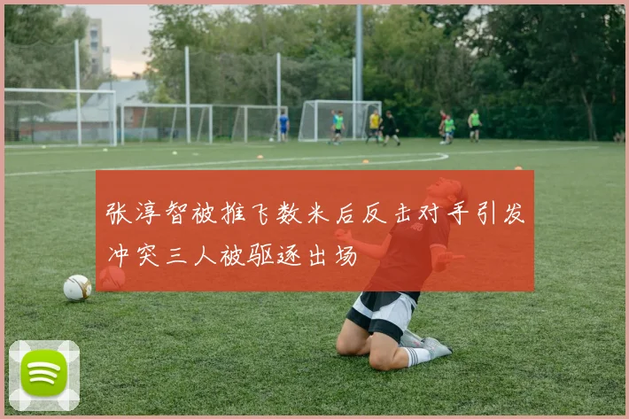 张淳智被推飞数米后反击对手引发冲突三人被驱逐出场